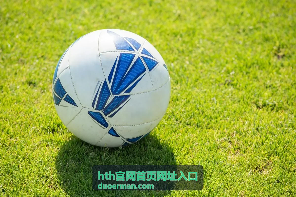 hth官网首页网址入口在桌面浏览器标签页中的布局示意